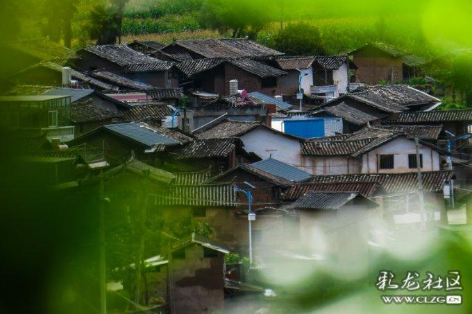 乱世浮华是什么意思?-全面解答你的问题
